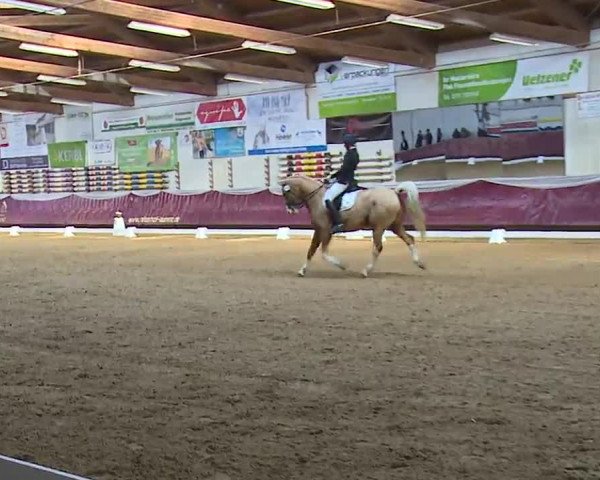 Reitturnier Eicherloh RH Laurent/Obb. 2023