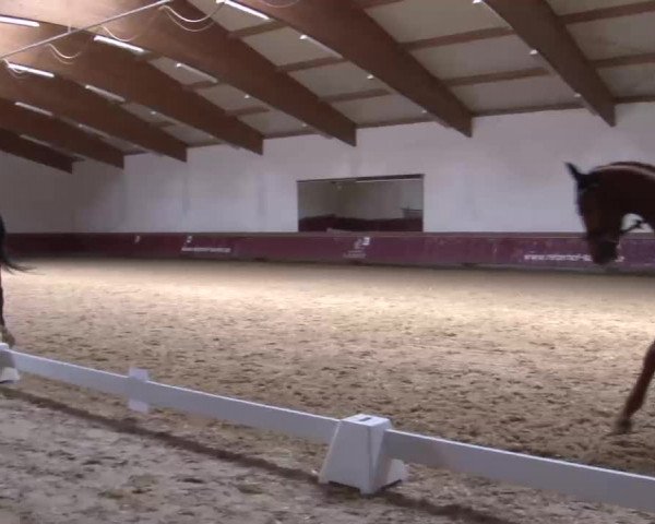 Reitturnier Eicherloh RH Laurent/Obb. 2023