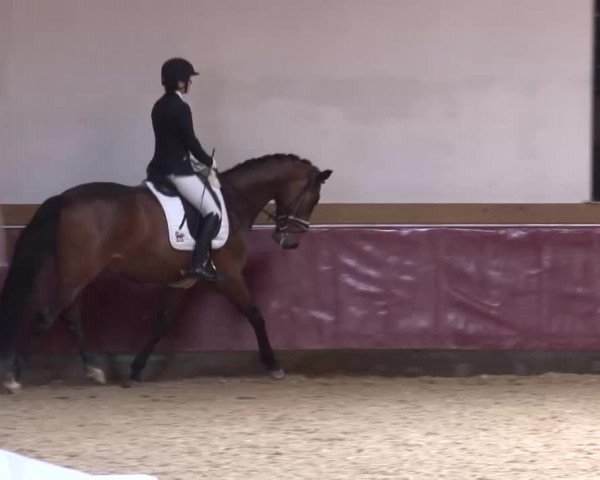 Reitturnier Eicherloh RH Laurent/Obb. 2023