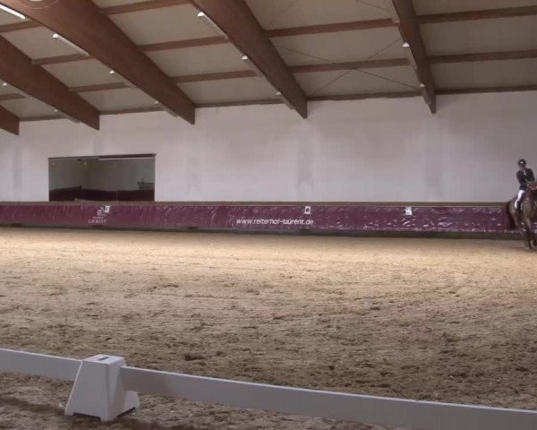 Reitturnier Eicherloh RH Laurent/Obb. 2023