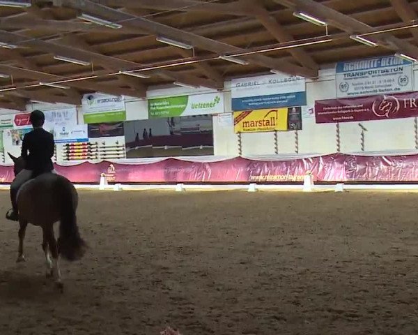 Reitturnier Eicherloh RH Laurent/Obb. 2023