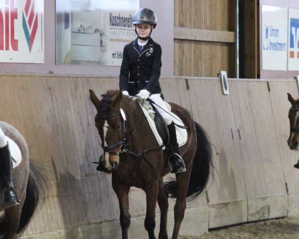 dressage horse Lesley (unknown, 2016)