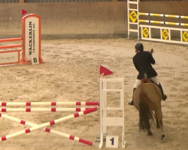 Reitturnier Schaffhausen 2023