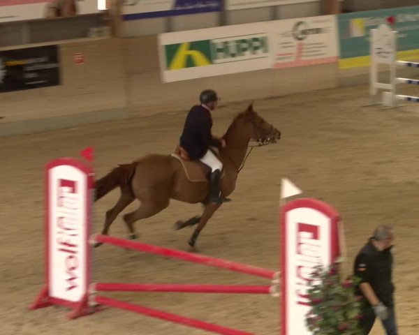 Reitturnier Schaffhausen 2023