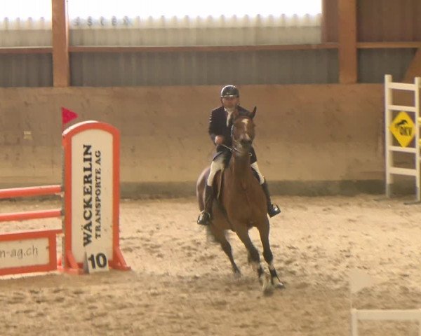 Reitturnier Schaffhausen 2023