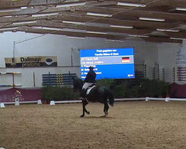 Reitturnier Eicherloh RH Laurent/Obb. 2023