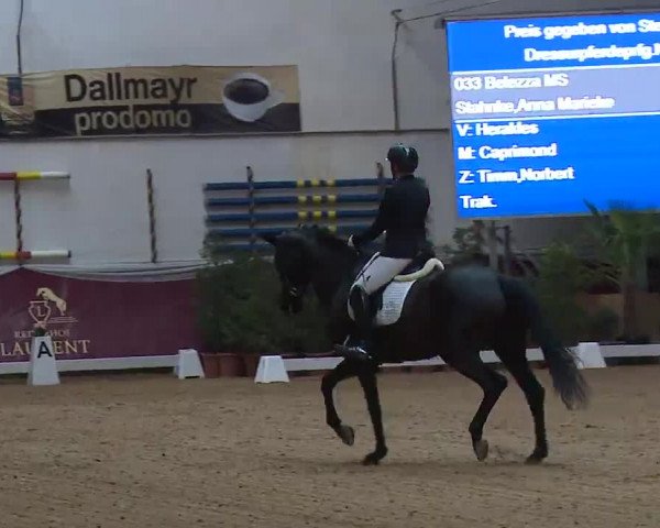 Reitturnier Eicherloh RH Laurent/Obb. 2023