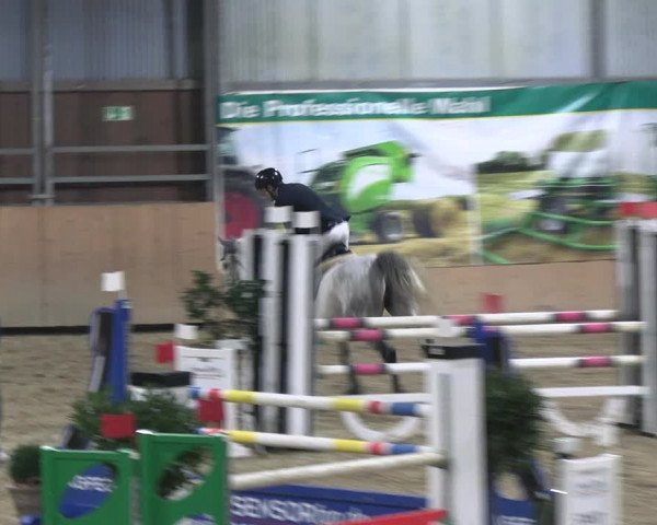 Reitturnier Borgholzhausen-Westbarthausen 2023