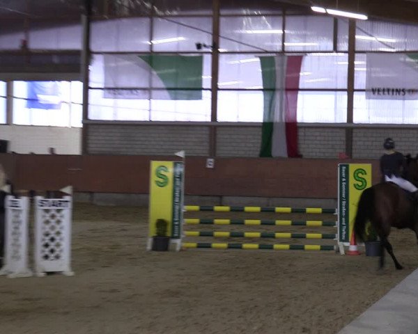 Reitturnier Hellefeld 2023