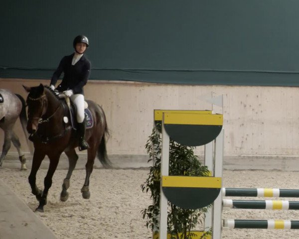 Reitturnier Mannheim-Neckarau 2023