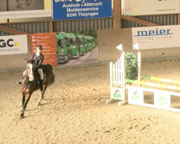 Reitturnier Schaffhausen 2023