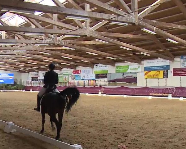 Reitturnier Eicherloh RH Laurent/Obb. 2023