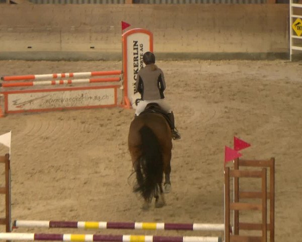 Reitturnier Schaffhausen 2023
