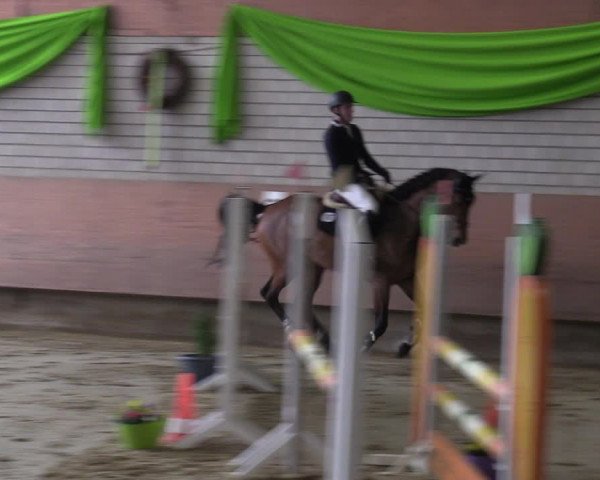 Reitturnier Hellefeld 2023