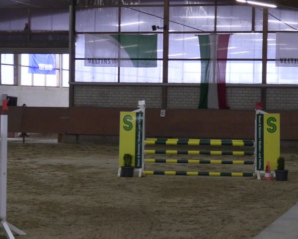 Reitturnier Hellefeld 2023