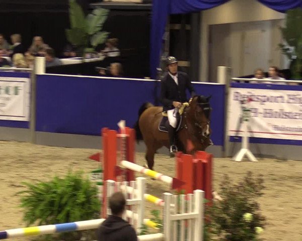FEI Reitturnier Neumünster (GER) 2021