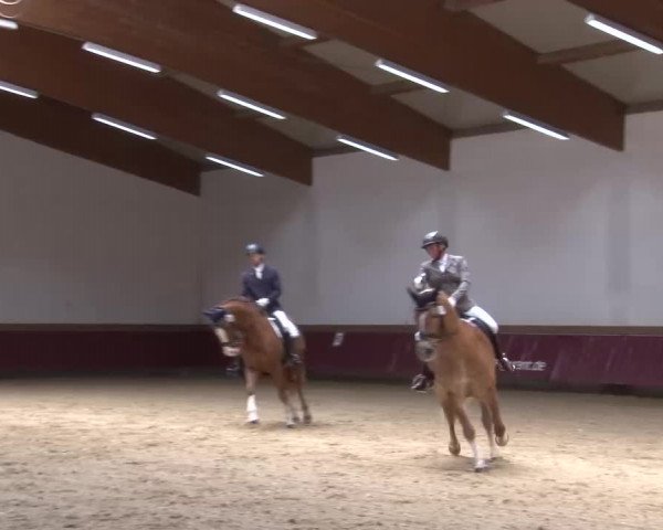 Reitturnier Eicherloh RH Laurent/Obb. 2023