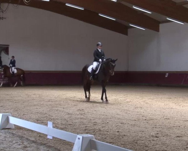 Reitturnier Eicherloh RH Laurent/Obb. 2023