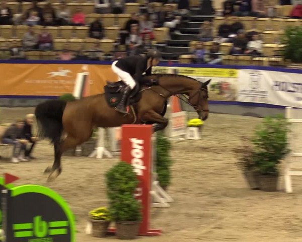 FEI Reitturnier Neumünster (GER) 2021