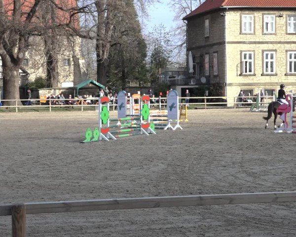 Reitturnier Hildesheim-Steuerwald 2023