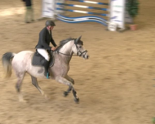 Reitturnier Schaffhausen 2023
