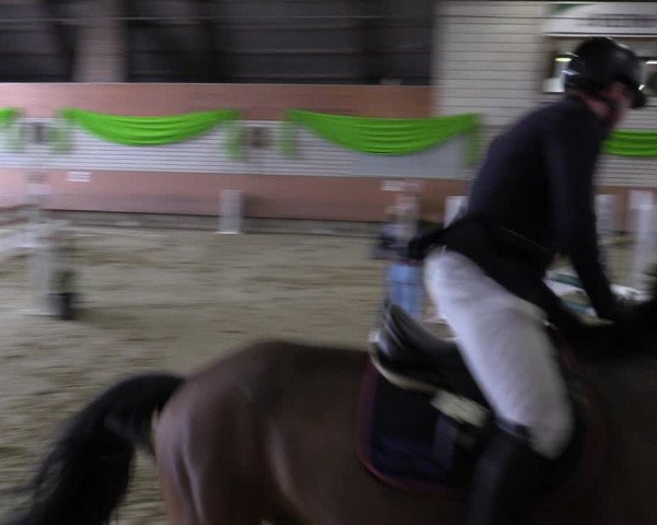 Reitturnier Hellefeld 2023