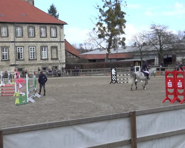 Reitturnier Hildesheim-Steuerwald 2023