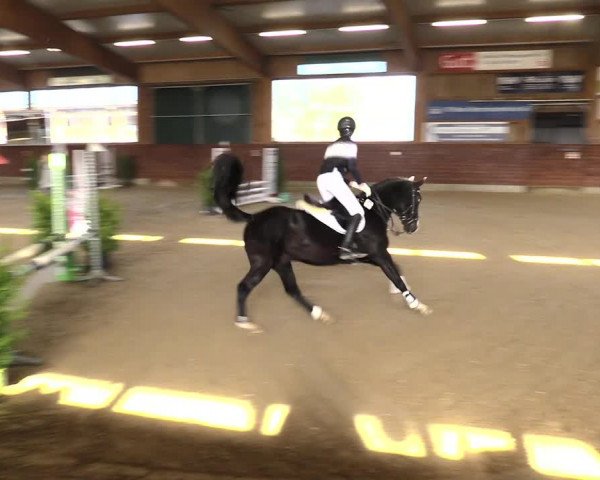 Reitturnier Coesfeld/Lette 2021