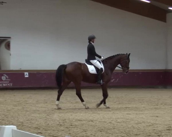 Reitturnier Eicherloh RH Laurent/Obb. 2023