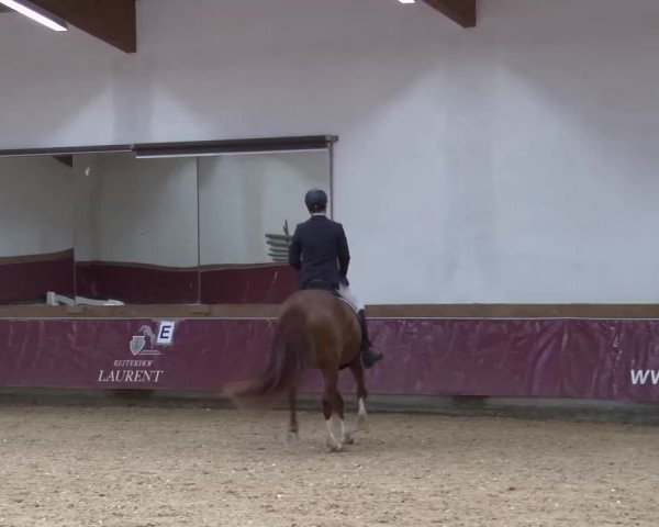 Reitturnier Eicherloh RH Laurent/Obb. 2023