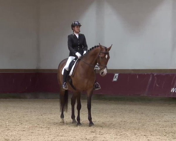 Reitturnier Eicherloh RH Laurent/Obb. 2023