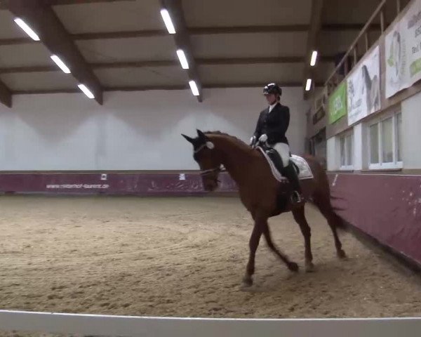 Reitturnier Eicherloh RH Laurent/Obb. 2023