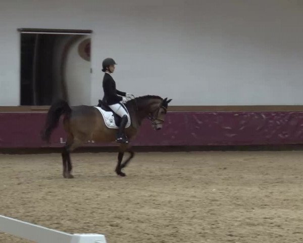 Reitturnier Eicherloh RH Laurent/Obb. 2023