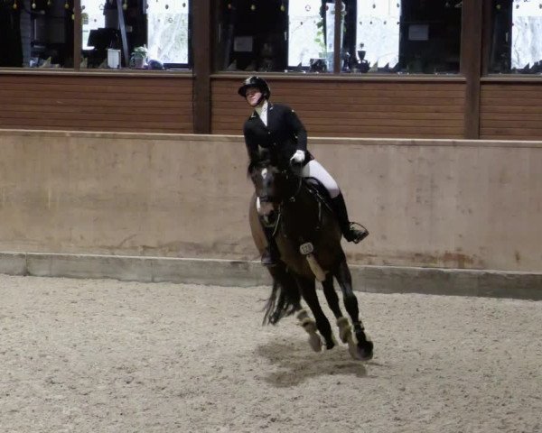 Reitturnier Mannheim-Neckarau 2023