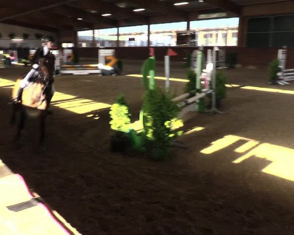 Reitturnier Coesfeld/Lette 2021