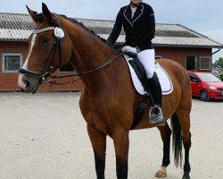 dressage horse Amalfitana (Westphalian, 2014, from All At Once)