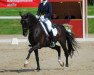 dressage horse Fabricius 6 (Westphalian, 2001, from Florestan I)