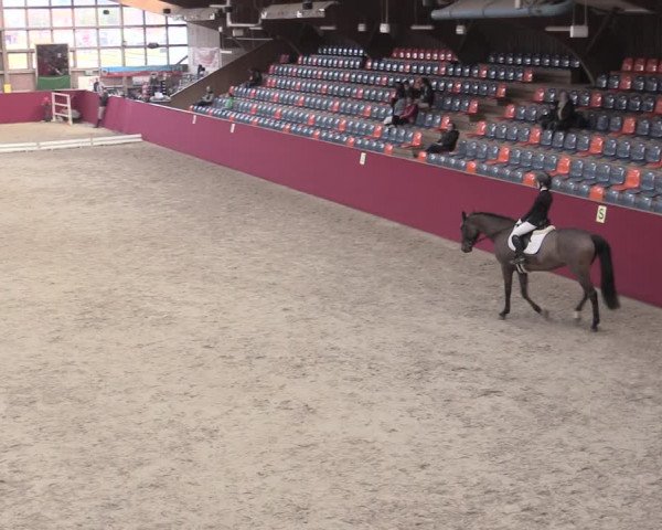 Reitturnier Krumke 2023
