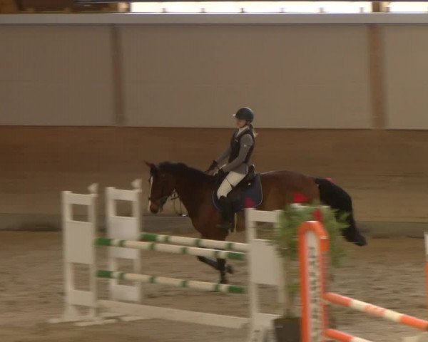 Reitturnier Schaffhausen 2023