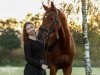 jumper Dunville N (Oldenburg show jumper, 2014, from Diarado's Boy)