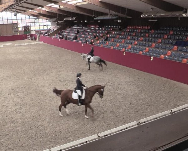 Reitturnier Krumke 2023