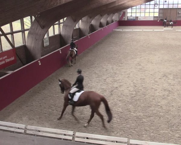 Reitturnier Krumke 2023