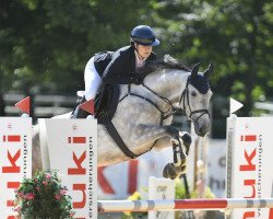 jumper Mimi Marble (Oldenburg show jumper, 2015, from Camposanto)