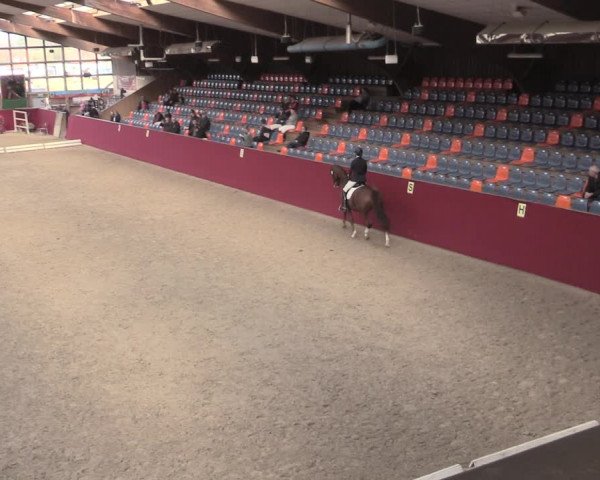 Reitturnier Krumke 2023