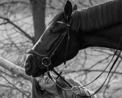 Dressurpferd Bandyta (Polnisches Warmblut, 2015, von Elegant)