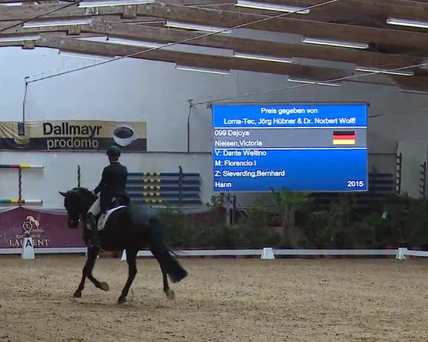 Reitturnier Eicherloh RH Laurent/Obb. 2023