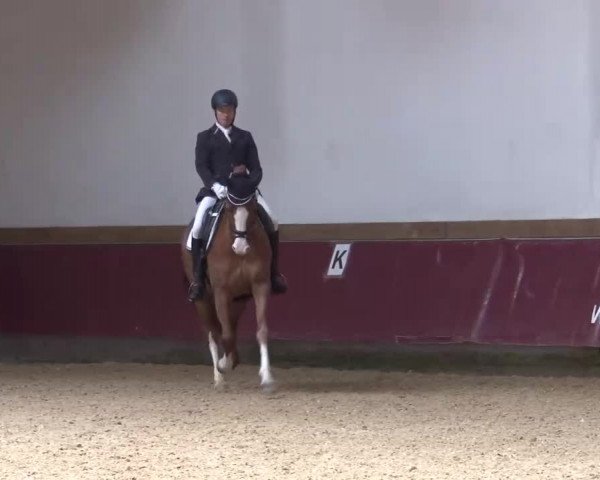 Reitturnier Eicherloh RH Laurent/Obb. 2023