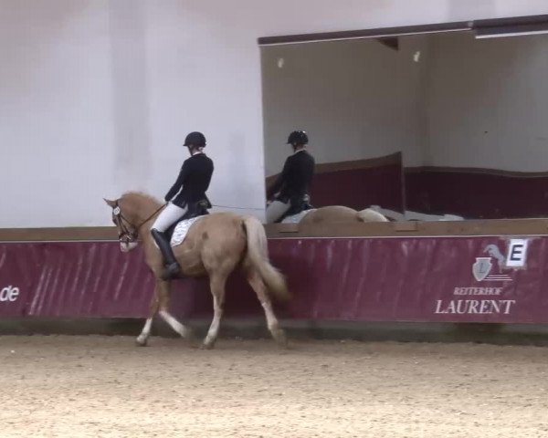 Reitturnier Eicherloh RH Laurent/Obb. 2023