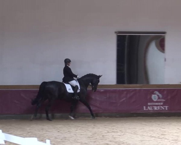 Reitturnier Eicherloh RH Laurent/Obb. 2023