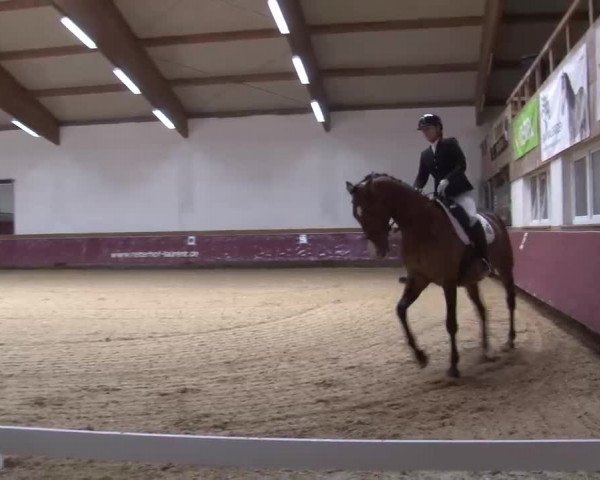 Reitturnier Eicherloh RH Laurent/Obb. 2023